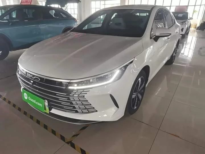 BYD Destroyer 05