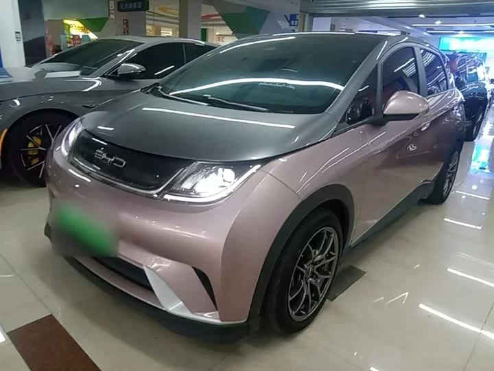 BYD Dolphin