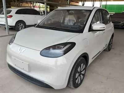 Wuling Bingo