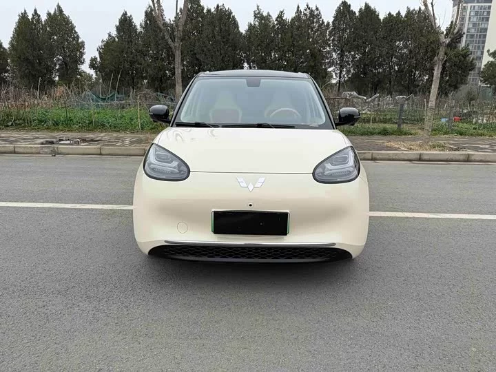 Wuling Bingo