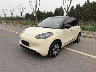 Wuling Bingo