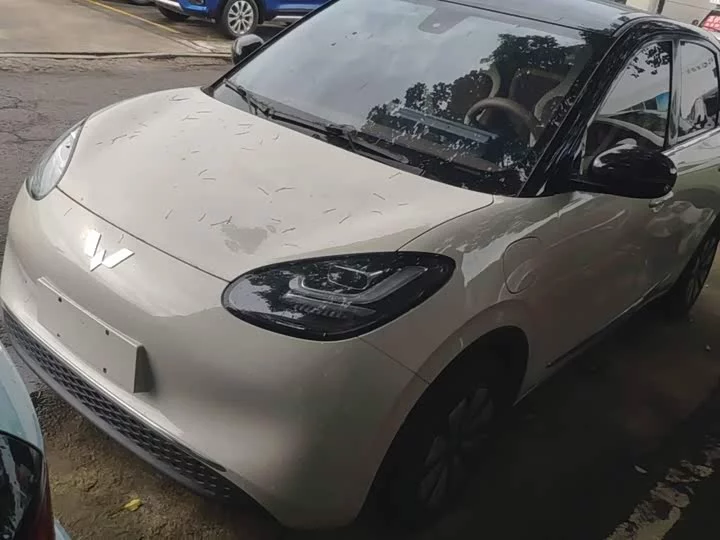 Wuling Bingo