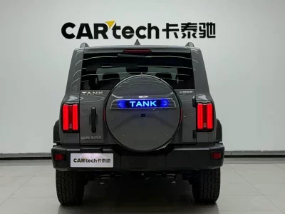 TANK 300