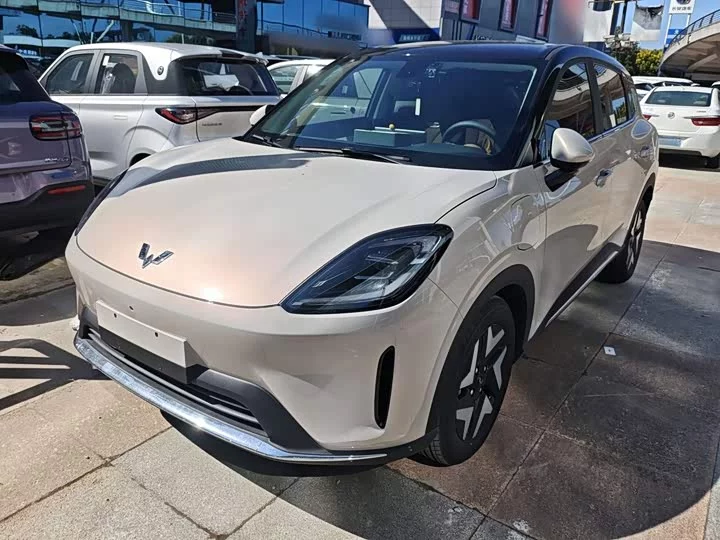 Wuling Bingo S