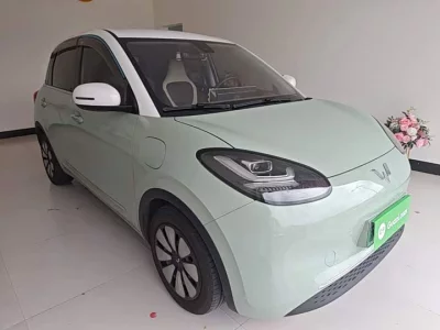 Wuling Bingo