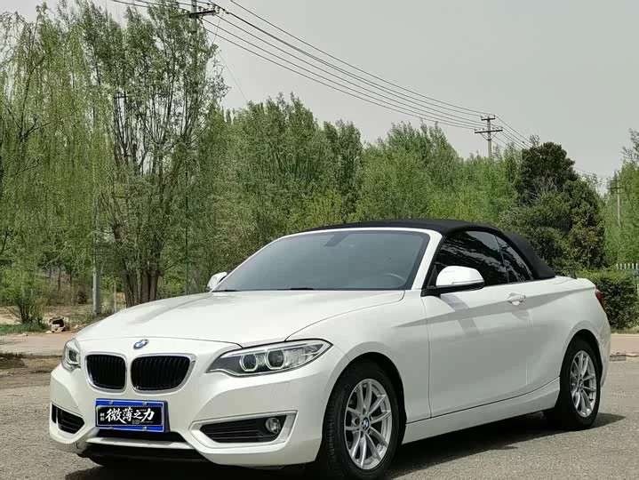 BMW 2 Series
