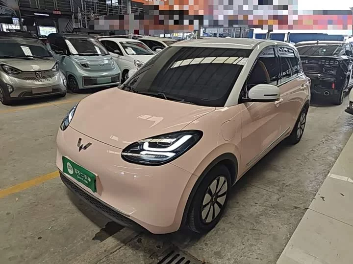Wuling Bingo