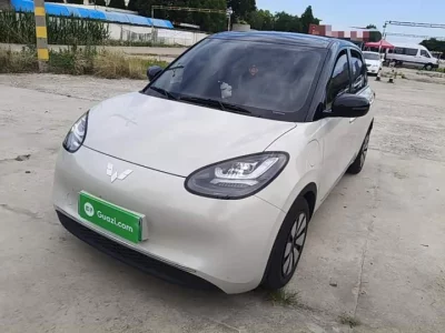 Wuling Bingo