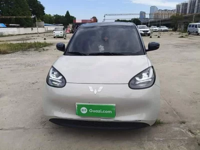 Wuling Bingo