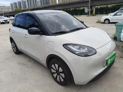 Wuling Bingo