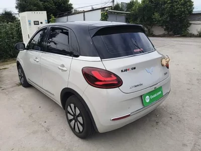 Wuling Bingo