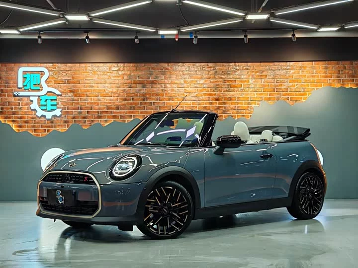 MINI 