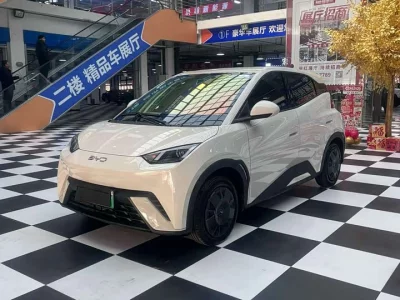 BYD Seagull