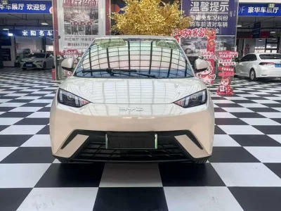 BYD Seagull