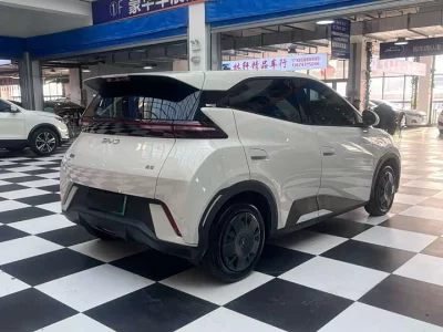 BYD Seagull
