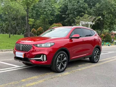 Wey VV6