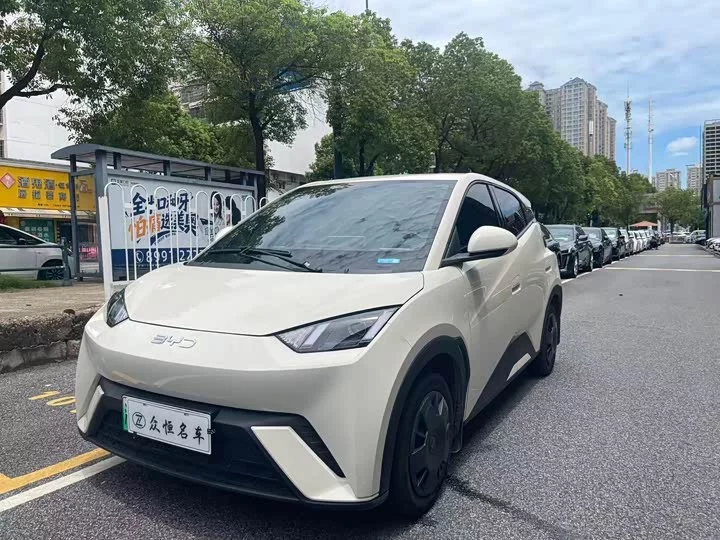 BYD Seagull