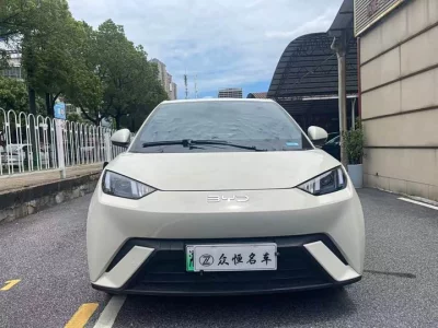 BYD Seagull