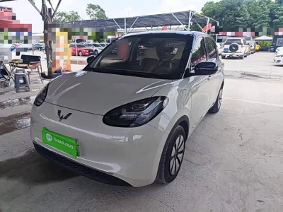 Wuling Bingo