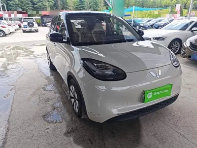 Wuling Bingo