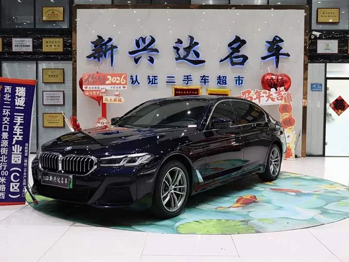 BMW 5 Series New Energy