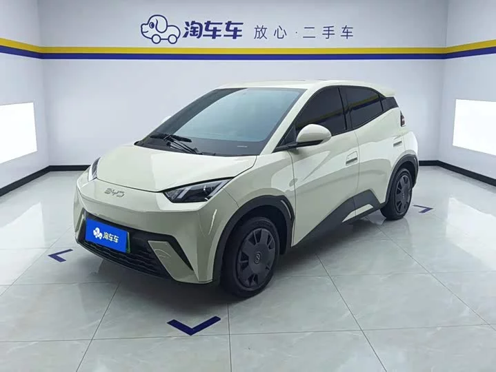 BYD Seagull