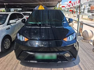 BYD Seagull