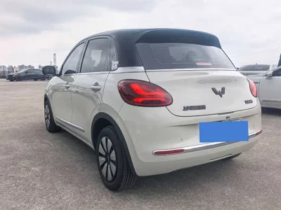 Wuling Bingo