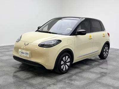 Wuling Bingo