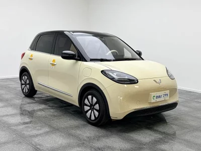 Wuling Bingo