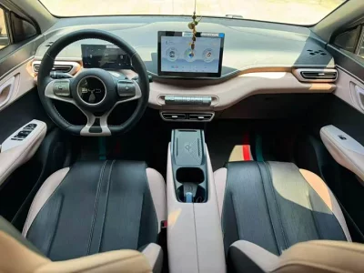 BYD Seagull