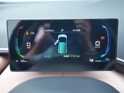 BYD Seagull