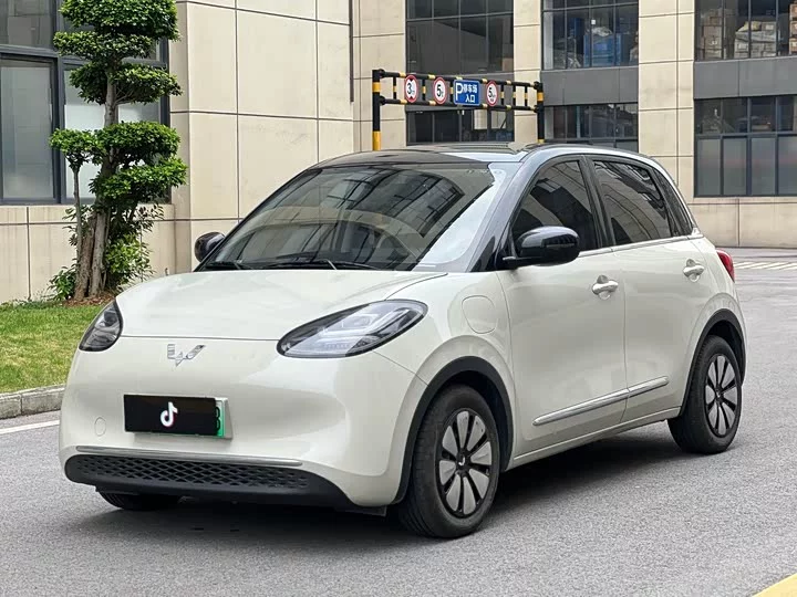 Wuling Bingo