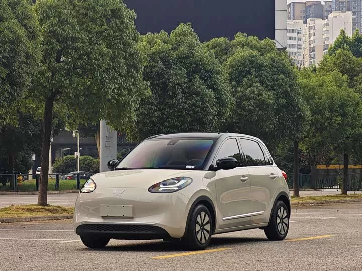 Wuling Bingo