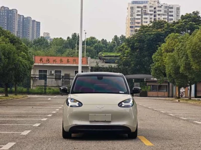 Wuling Bingo