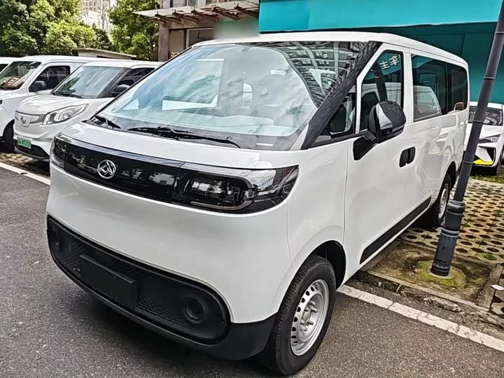 Maxus Dana V1