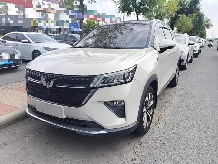 Wuling Star