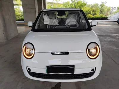 Changan Lumin