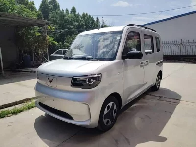Wuling Zhiguang New Energy