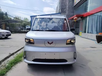 Wuling Zhiguang New Energy