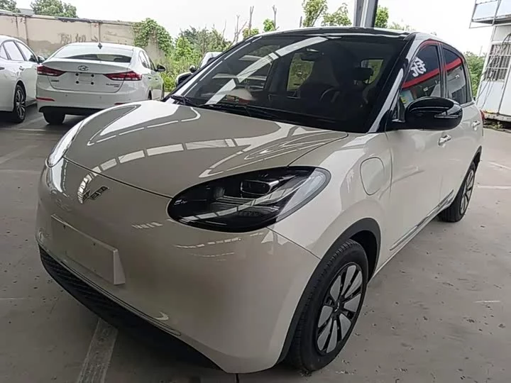 Wuling Bingo
