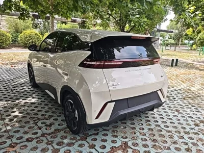 BYD Seagull