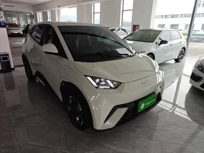 BYD Seagull