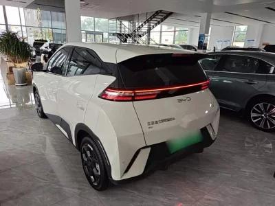 BYD Seagull