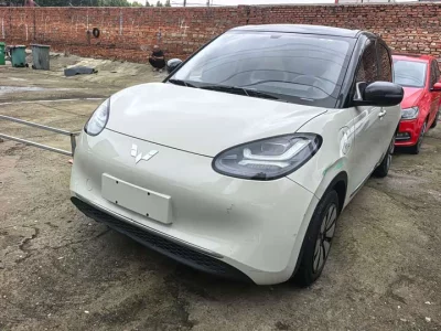 Wuling Bingo