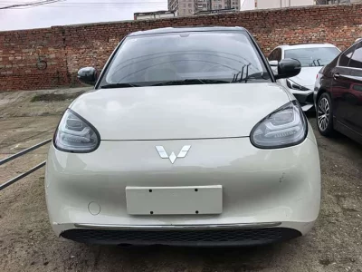 Wuling Bingo