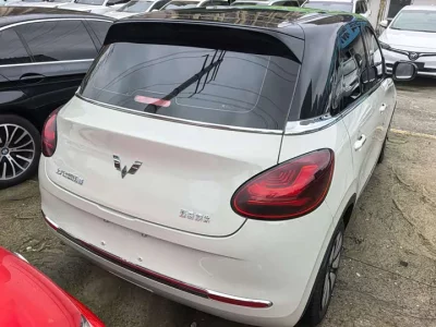 Wuling Bingo