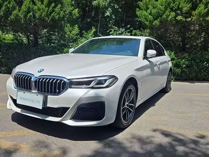 BMW 5 Series New Energy