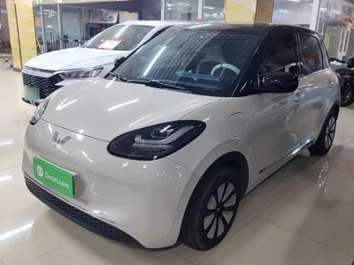 Wuling Bingo
