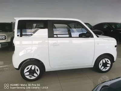 Geely Panda